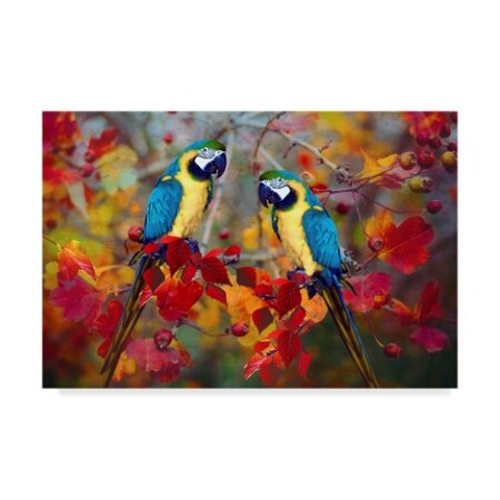 Trademark Fine Art Ata Alishahi 'Bird Collection 19' Canvas Art, 16x24 ALI22451-C1624GG